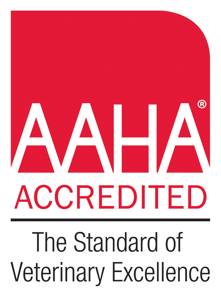 Aaha logo