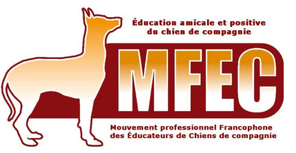 Mfec