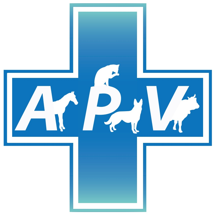 Logo apv png
